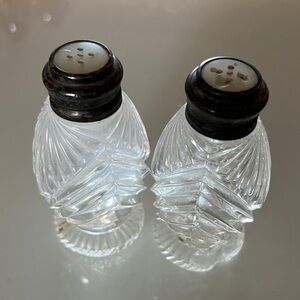 Elegant Glass Salt and Pepper Shakers